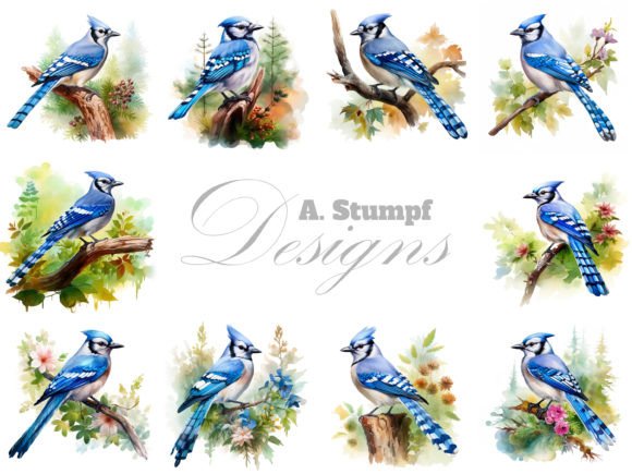 Blue Jay Clipart Watercolor Bird Bundle: A Designer's Guide