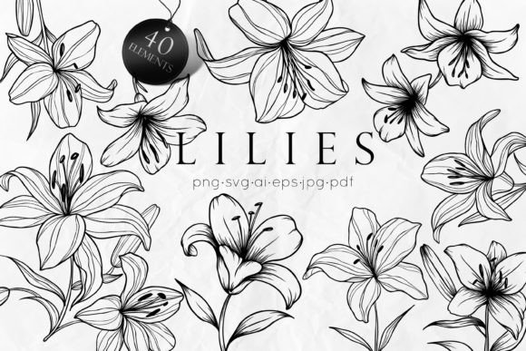 Bringing Nature's Elegance to Your Designs with Lily Flowers Line Art
