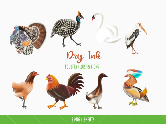 Dry Ink Realistic Poultry Illustrations: A Designer's Asset