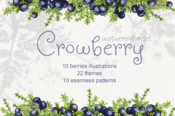 Exploring Crowberry Watercolor Set Illustrations