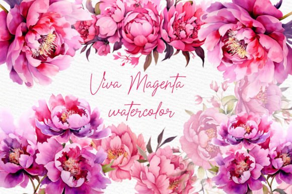 Fuchsia Pink Flower Hot Pink Flower: Vibrant Watercolor Clipart